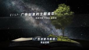 USP：广告创意的主题提取——王树良