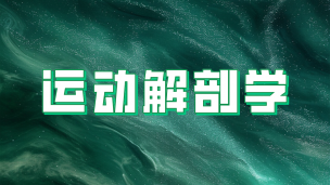 运动解剖学