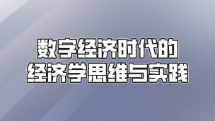 数字经济时代的经济学思维与实践  数字课程