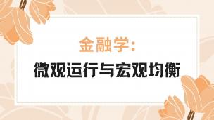 金融学：微观运行与宏观均衡 数字课程