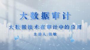 大数据技术在审计中的应用