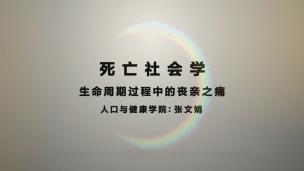 生命周期过程中的丧亲之痛——张文娟