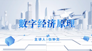 数字经济宏观管理与统计核算——张钟文
