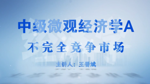 不完全竞争市场——王晋斌